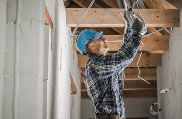 Best Local Electrician Companies  in Ionia, MI