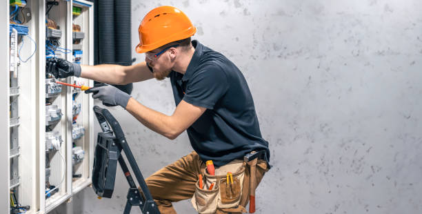 Best Electrical Repair Services  in Ionia, MI
